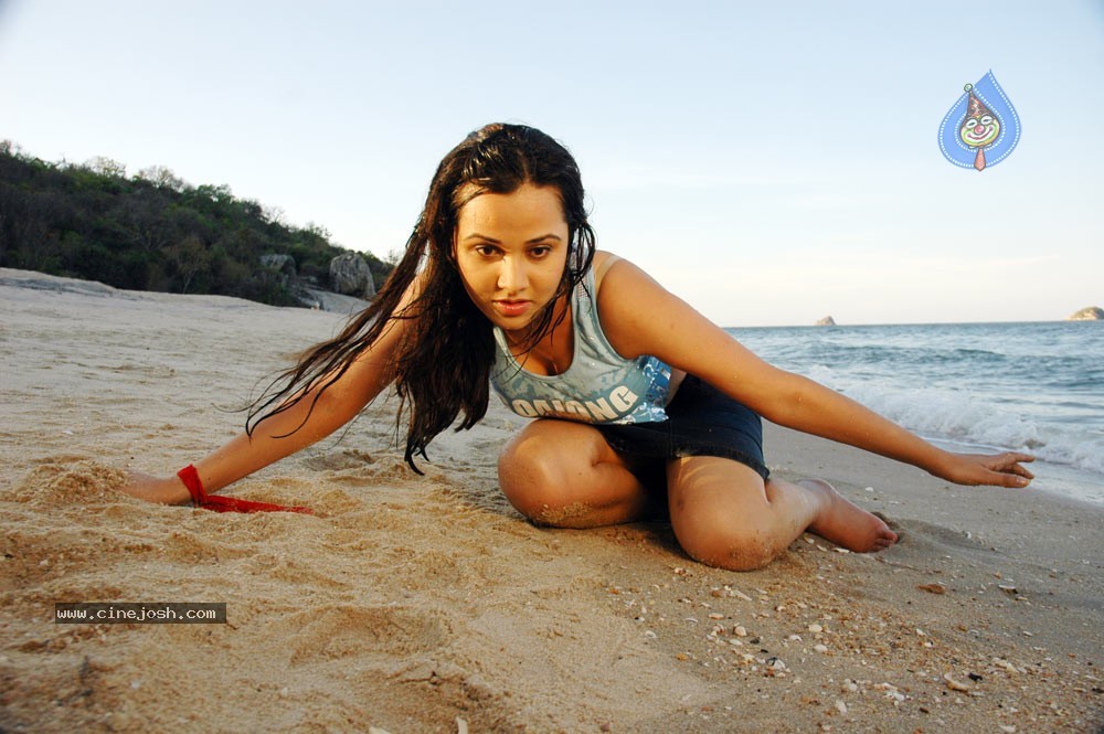 Nisha Kothari Spicy Gallery 2  - 19 / 62 photos