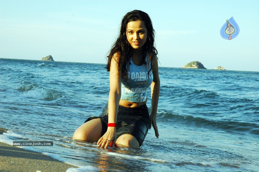 Nisha Kothari Spicy Gallery 2  - 28 / 62 photos