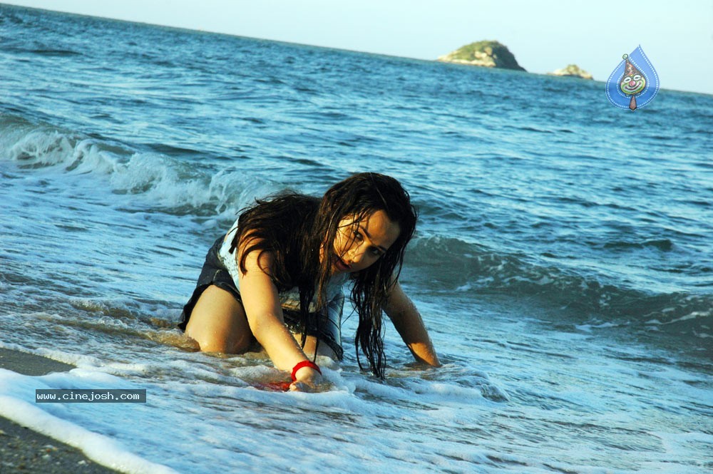 Nisha Kothari Spicy Gallery 2  - 40 / 62 photos