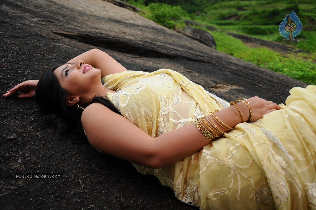 Nisha Sha Hot Gallery - 12 / 52 photos