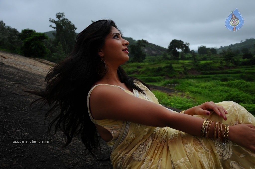 Nisha Sha Hot Gallery - 16 / 52 photos