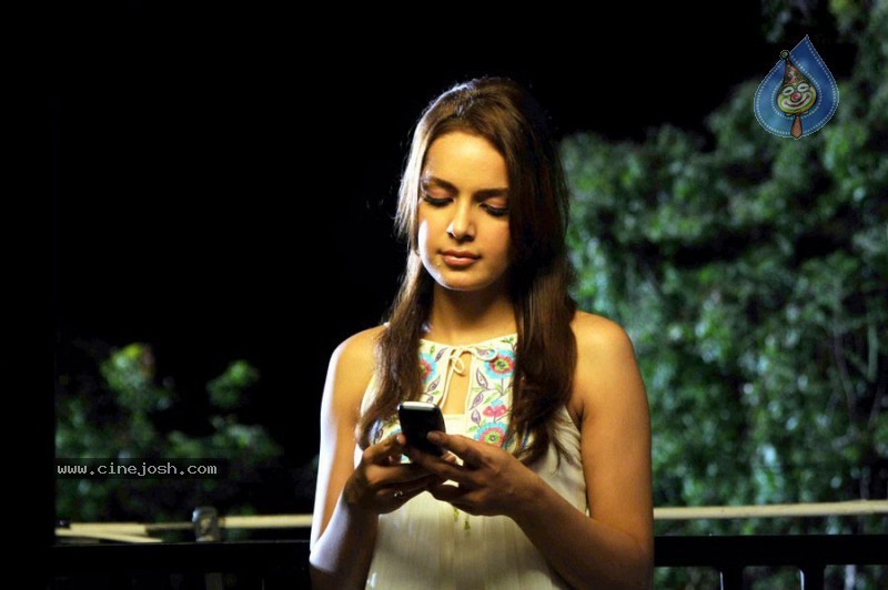 Orange Movie Actress Shazahn Padamsee Stills - 13 / 14 photos