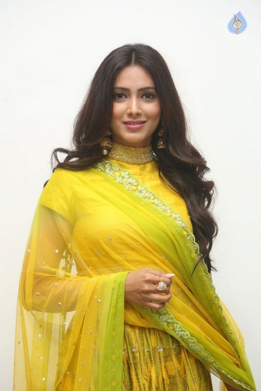 Pallavi Photos - 21 / 36 photos