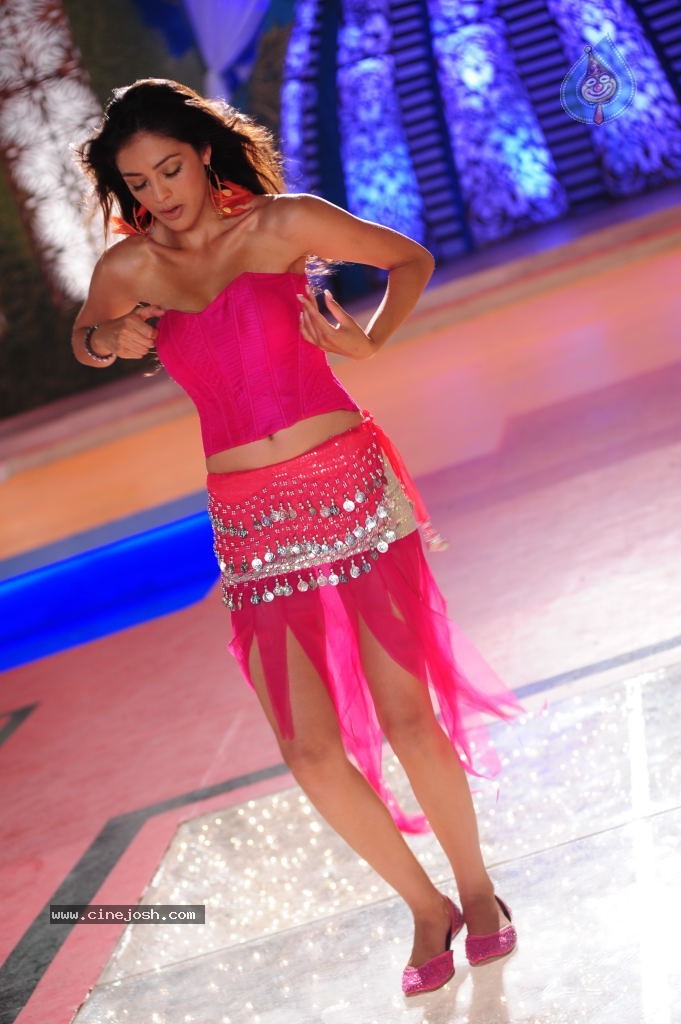 Parvathi Melton New Pics - 4 / 95 photos