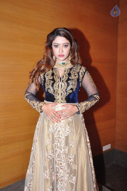 Payal Ghosh Latest Pics - 6 / 18 photos