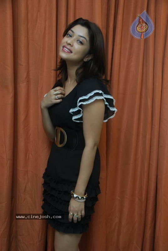 Payal Gosh Latest Stills - 64 / 90 photos