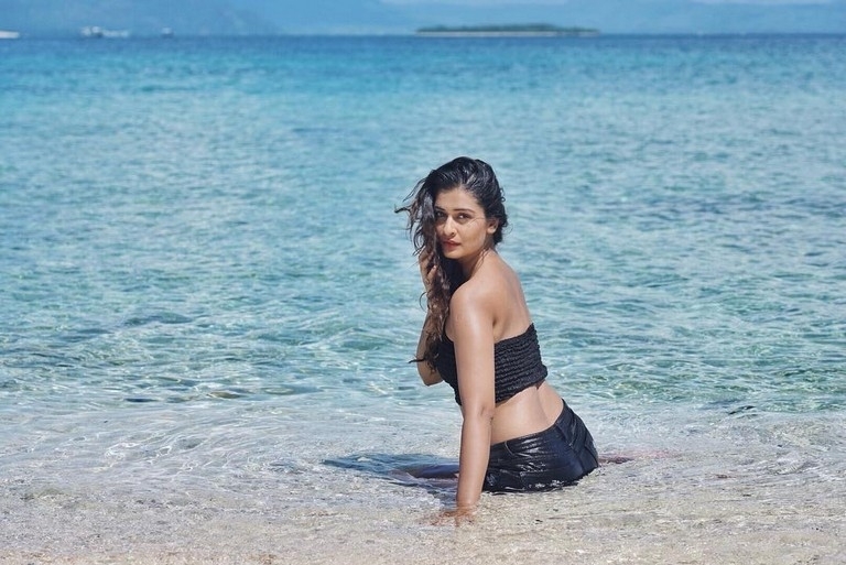 Payal Rajput Latest Stills - 6 / 11 photos