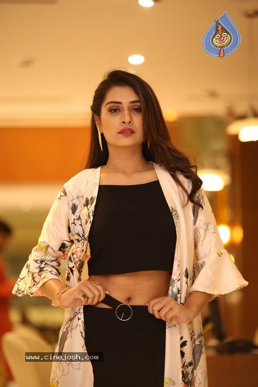 Payal Rajput New Photos - 11 / 17 photos