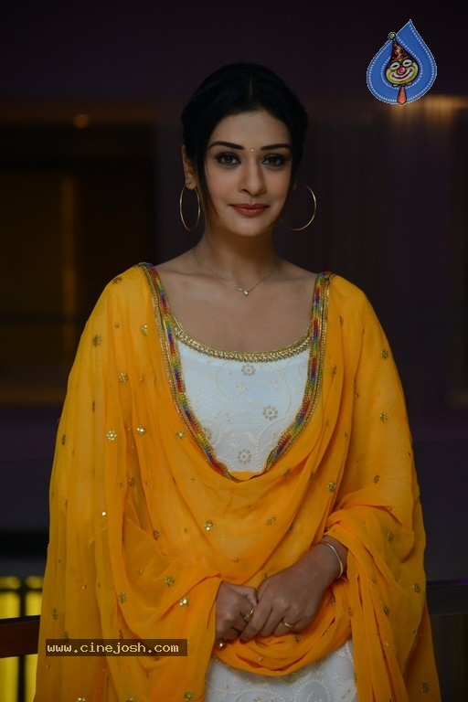 Payal Rajput New Photos - 6 / 20 photos