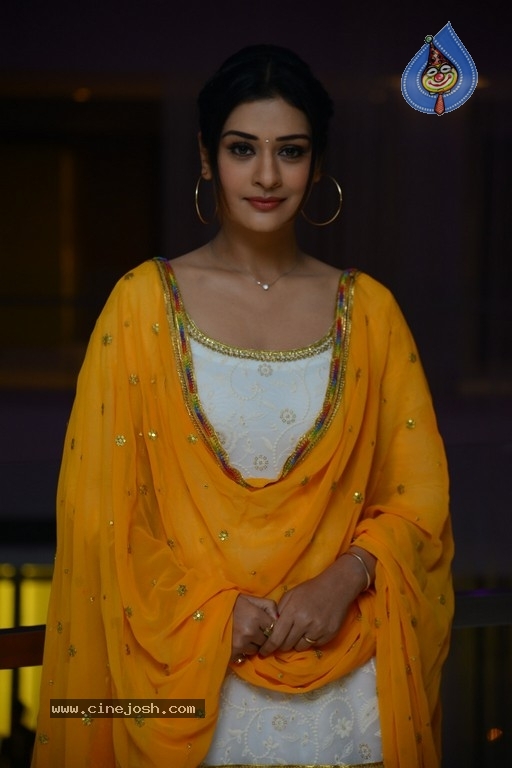 Payal Rajput New Photos - 20 / 20 photos