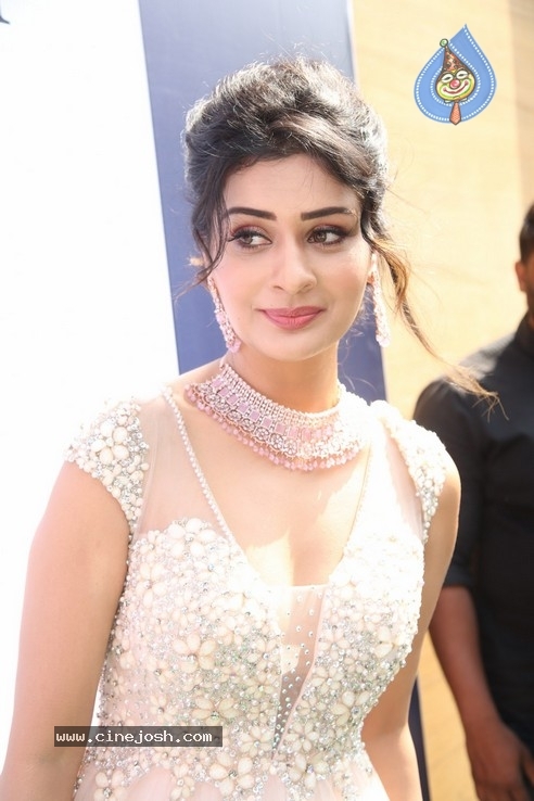 Payal Rajput Photos - 12 / 20 photos