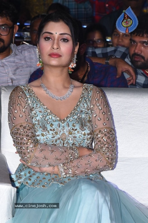 Payal Rajput Photos - 2 / 14 photos
