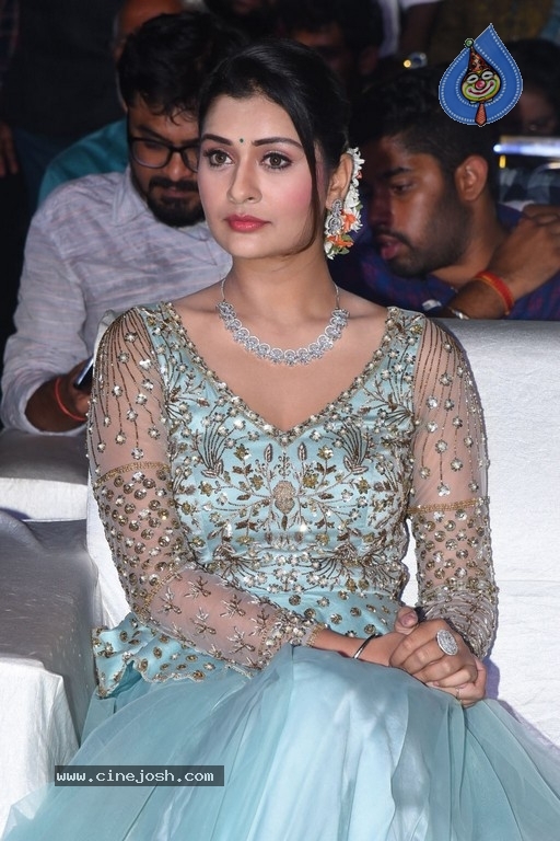 Payal Rajput Photos - 4 / 14 photos