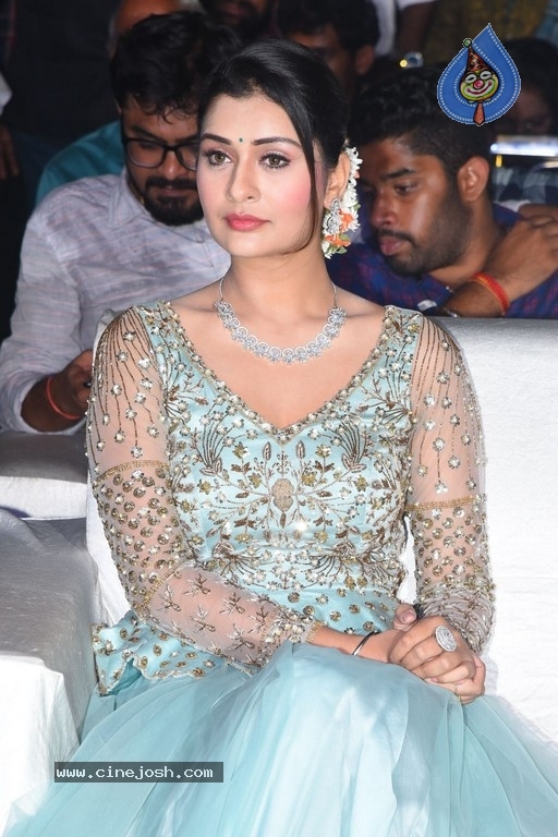 Payal Rajput Photos - 6 / 14 photos