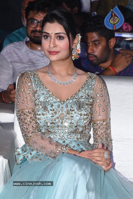 Payal Rajput Photos - 12 / 14 photos