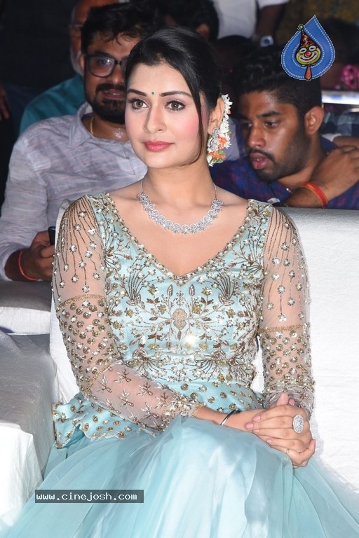 Payal Rajput Photos - 13 / 14 photos