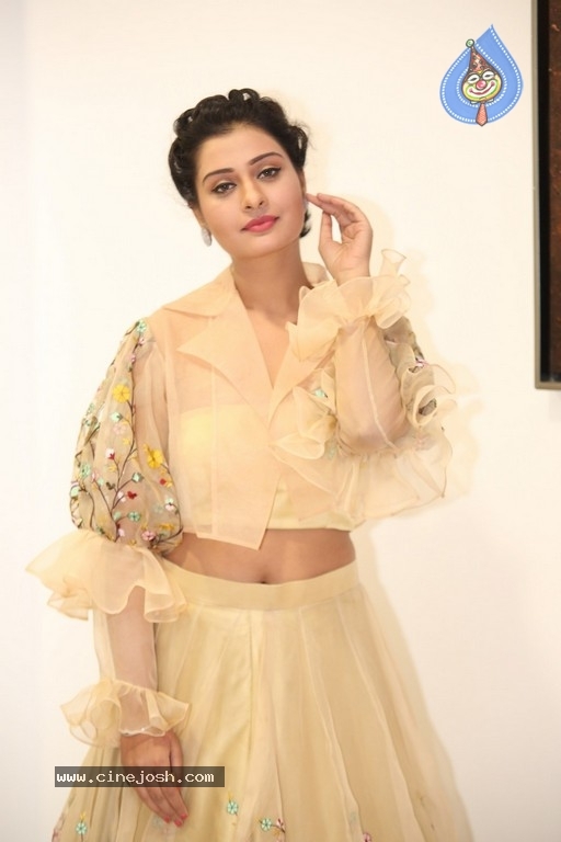 Payal Rajput Photos - 4 / 42 photos