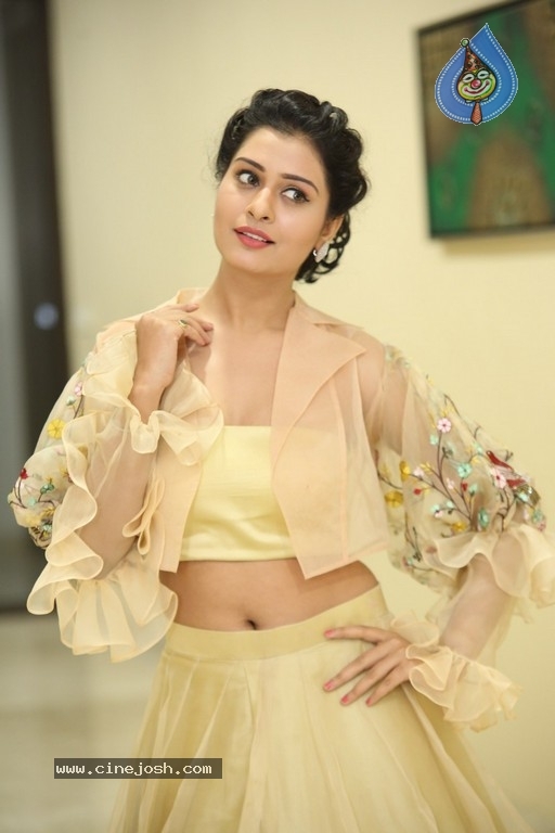 Payal Rajput Photos - 14 / 42 photos