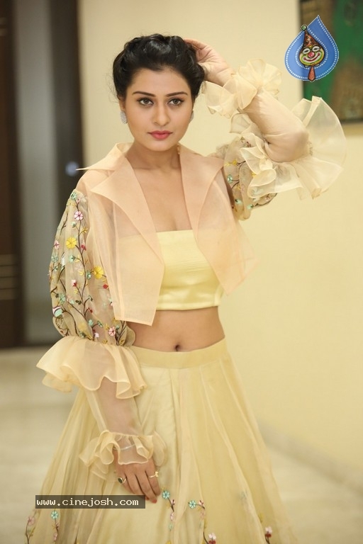 Payal Rajput Photos - 15 / 42 photos