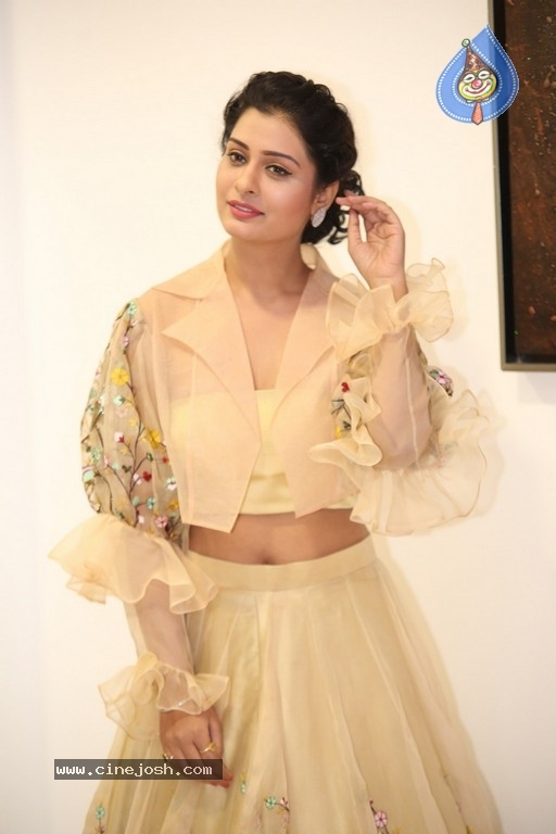 Payal Rajput Photos - 23 / 42 photos