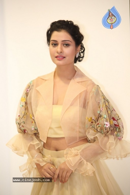 Payal Rajput Photos - 35 / 42 photos