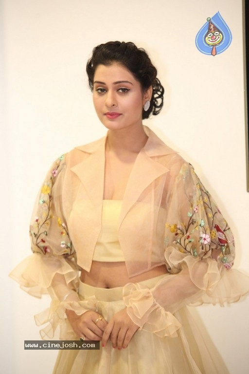 Payal Rajput Photos - 37 / 42 photos