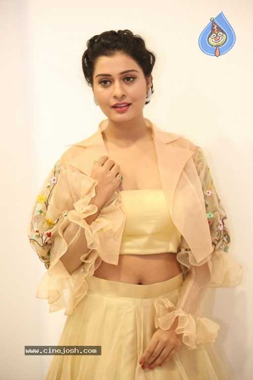 Payal Rajput Photos - 39 / 42 photos