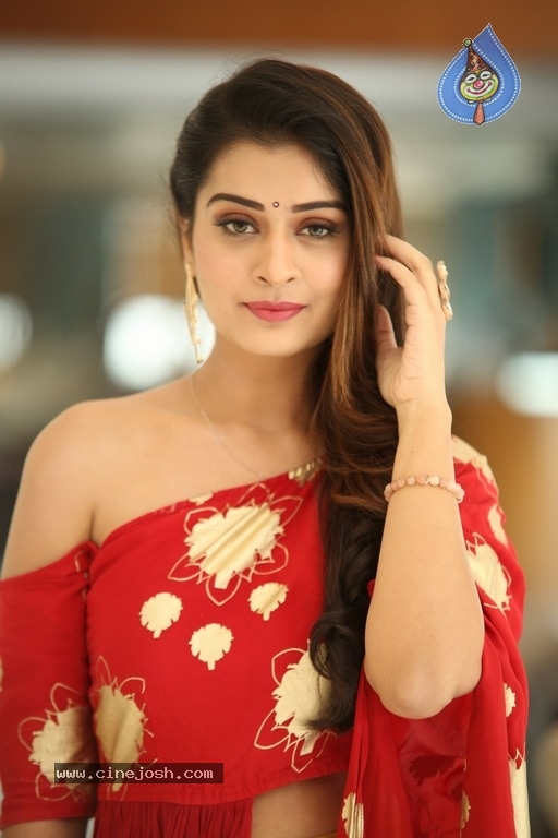 Payal Rajput Photos - 18 / 20 photos