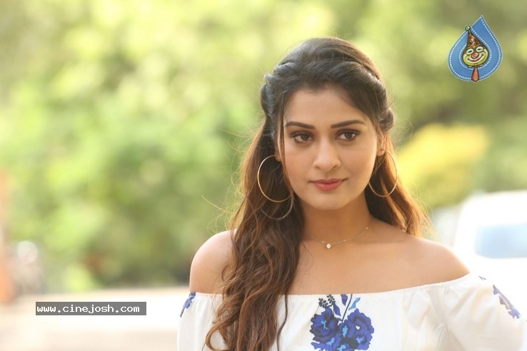 Payal Rajput Stills - 19 / 32 photos