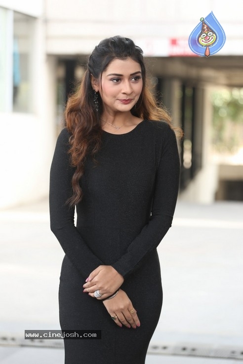 Payal Rajput Stills - 15 / 30 photos
