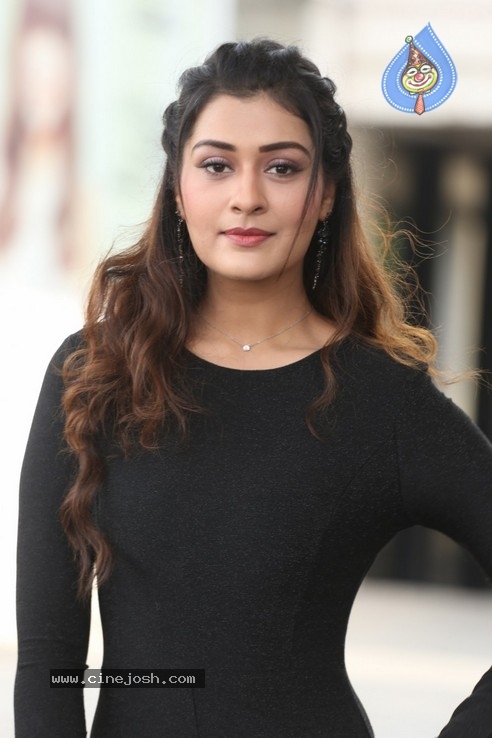 Payal Rajput Stills - 24 / 30 photos