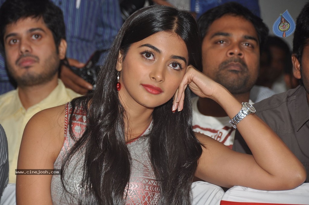 Pooja Hegde at OLK Success Meet - 5 / 98 photos