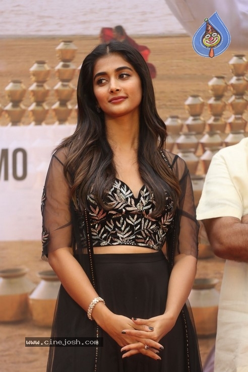 Pooja Hegde Photos - 4 / 21 photos