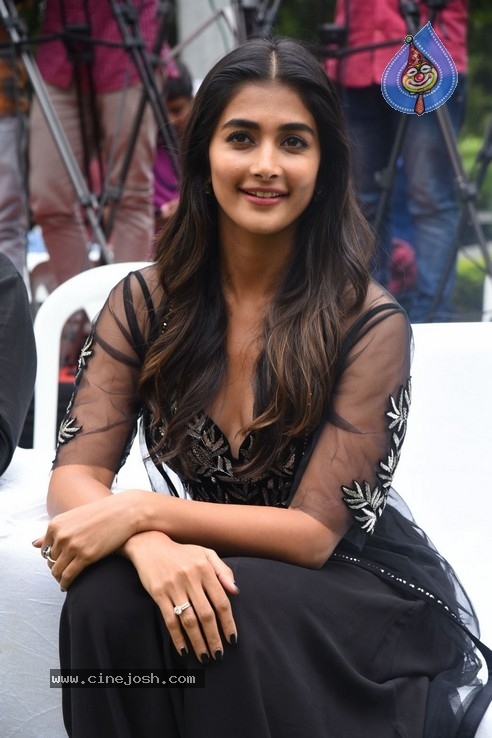 Pooja Hegde Photos - 16 / 21 photos