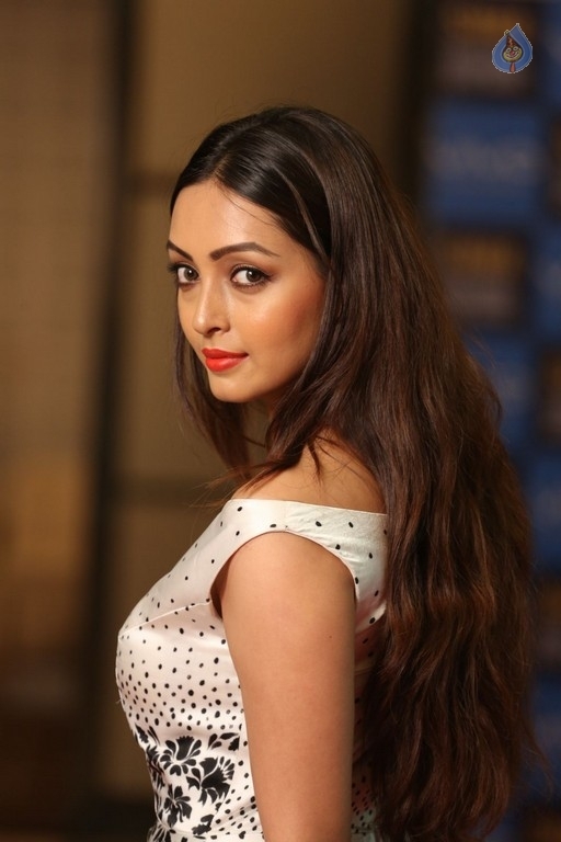Pooja Salvi at SIIMA Short Film Awards - 26 / 37 photos