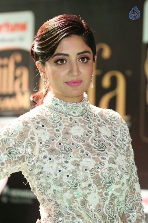 Poonam Kaur at IIFA 2017 - 13 / 35 photos