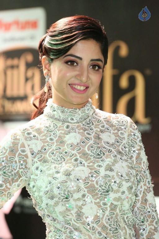 Poonam Kaur at IIFA 2017 - 19 / 35 photos