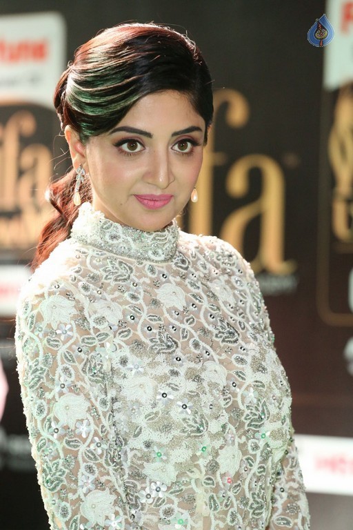 Poonam Kaur at IIFA 2017 - 20 / 35 photos