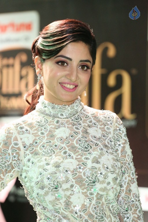 Poonam Kaur at IIFA 2017 - 27 / 35 photos