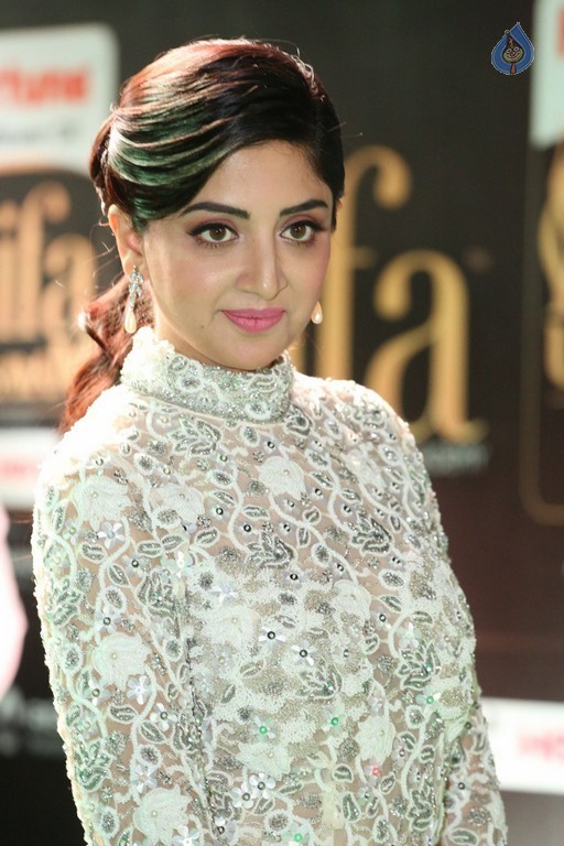 Poonam Kaur at IIFA 2017 - 30 / 35 photos