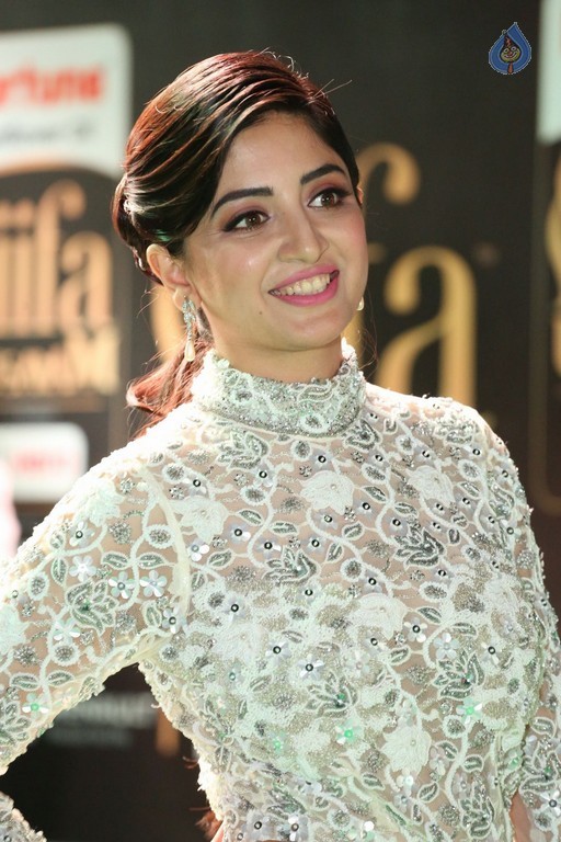 Poonam Kaur at IIFA 2017 - 34 / 35 photos