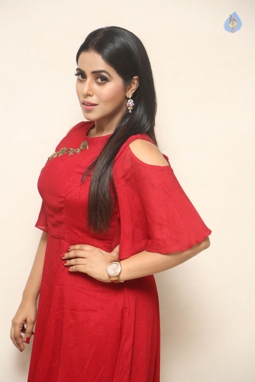 Poorna New Photos - 22 / 41 photos