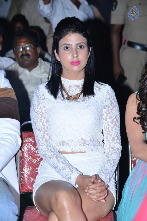 Pragya at Vangaveeti Audio Launch - 2 / 32 photos