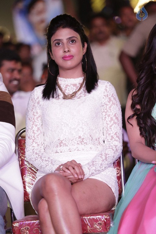 Pragya at Vangaveeti Audio Launch - 10 / 32 photos