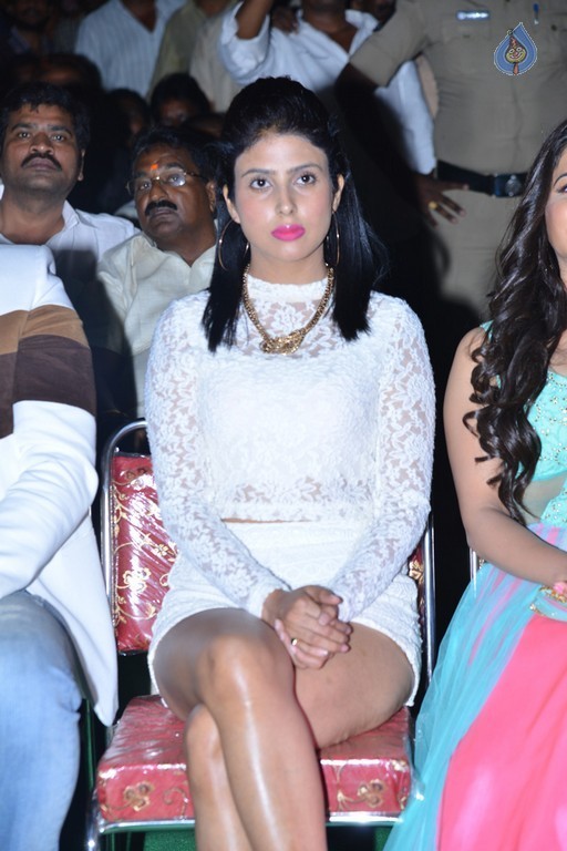 Pragya at Vangaveeti Audio Launch - 27 / 32 photos