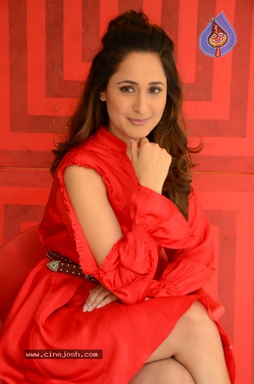 Pragya Jaiswal Latest Photos - 20 / 21 photos
