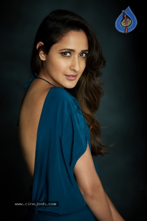 Pragya Jaiswal Latest Photoshoot - 10 / 21 photos