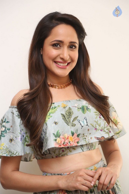 Pragya Jaiswal Latest Pics - 11 / 42 photos