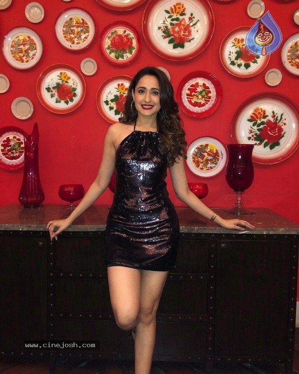 Pragya Jaiswal New Pics - 7 / 13 photos