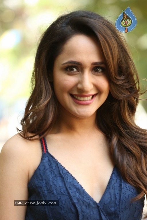 Pragya Jaiswal New Pics - 24 / 27 photos